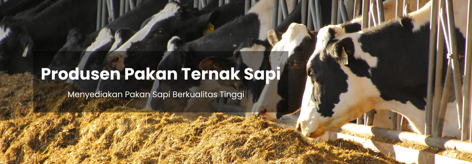banner pakan ternak (1)
