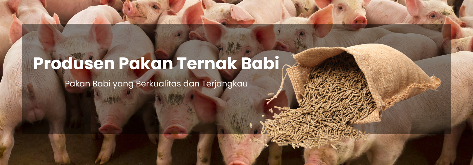 banner pakan ternak (3)